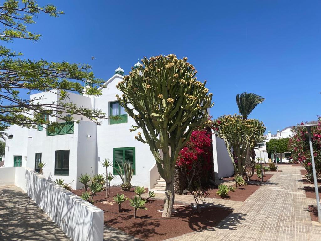 Dorada Sand Lejlighed Playa Blanca  Eksteriør billede